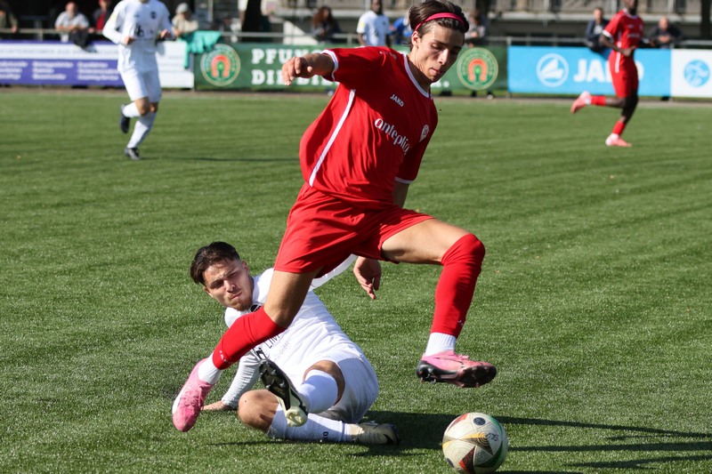 IMG029.JPG